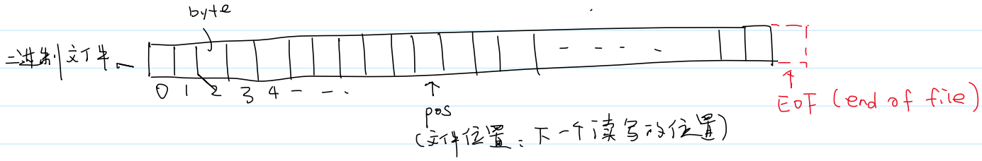 二进制文件