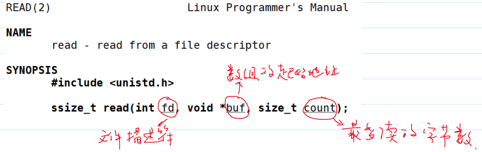 系统调用read()读取文件