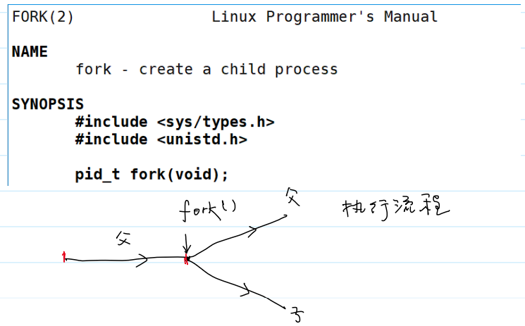 系统调用 fork() 的用法