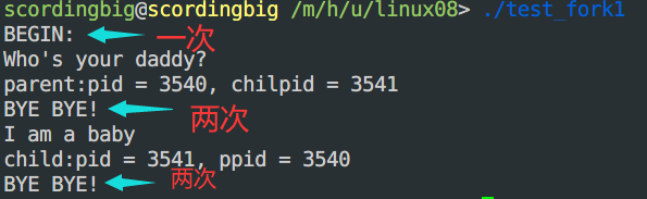 测试结果