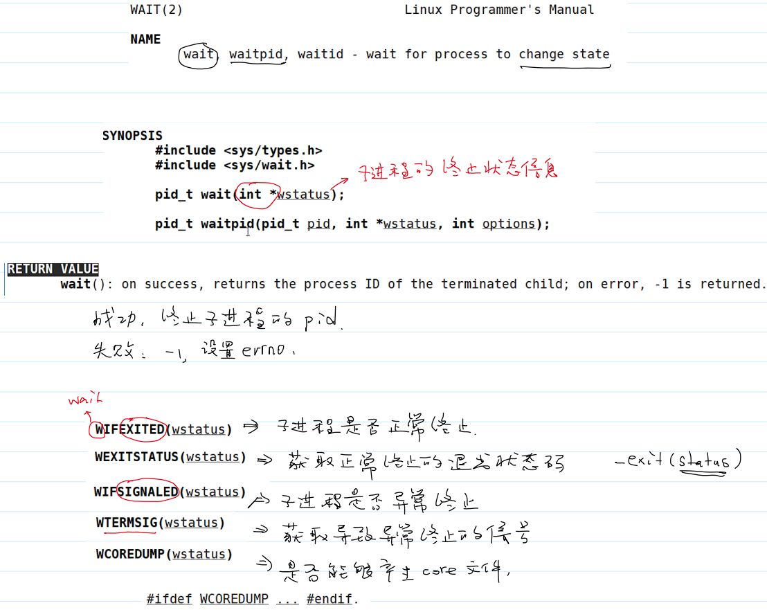系统调用 wait() 的用法和返回值