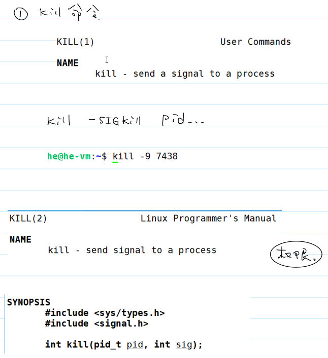 kill 命令